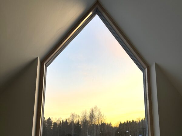 Kaskipuun auringonsuojalasi sisältä kuvattuna